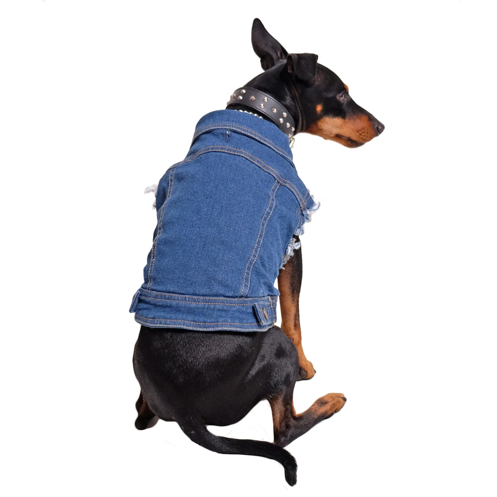 Denim Dog Vest Raw Blue - Unpatched