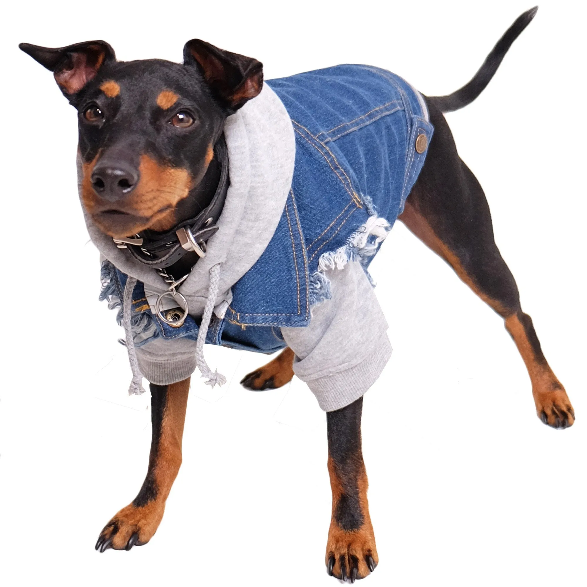 Denim Dog Vest Raw Blue - Unpatched