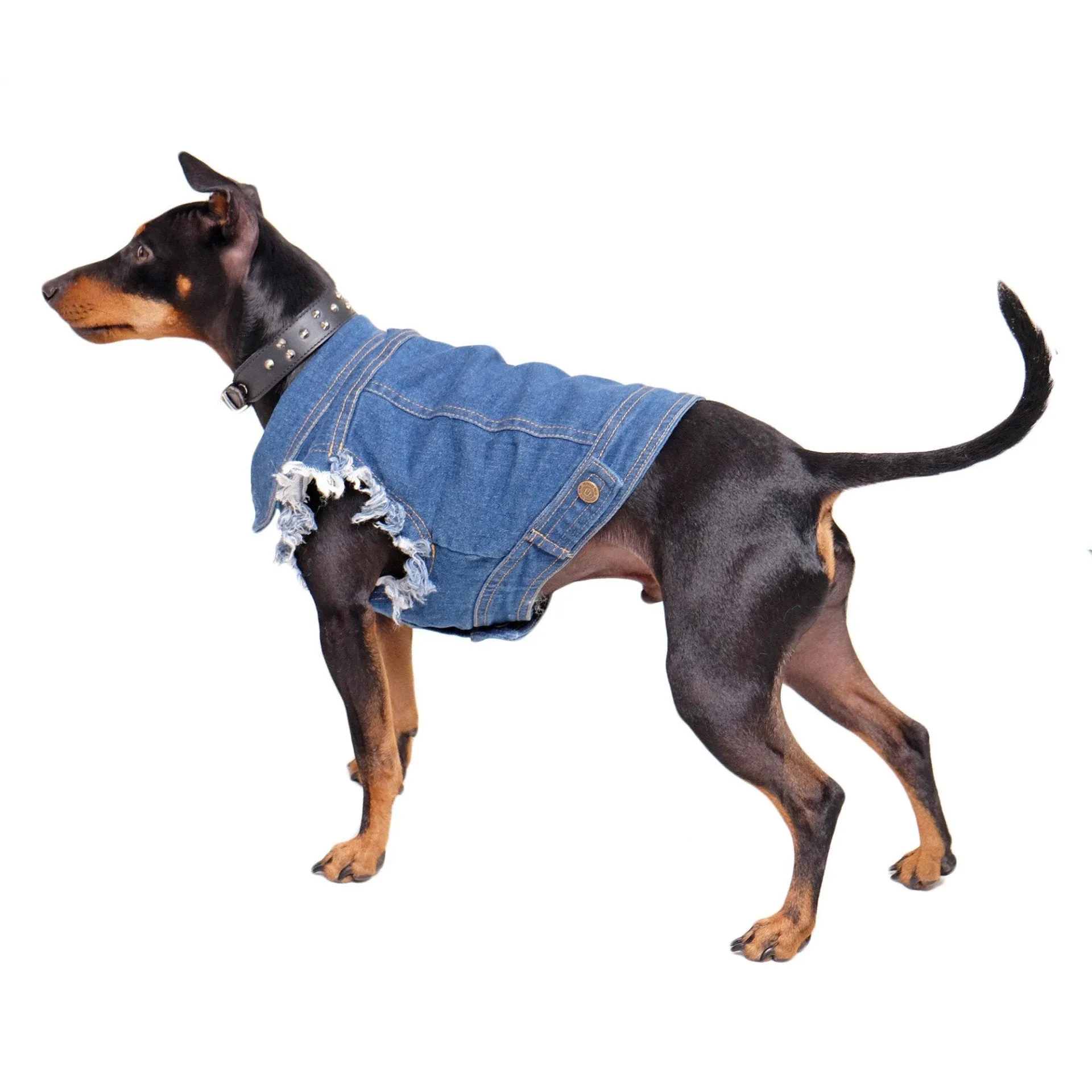 Denim Dog Vest Raw Blue - Unpatched