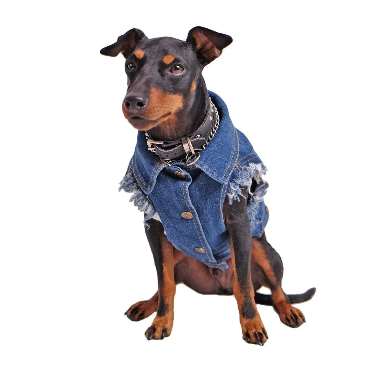 Denim Dog Vest Raw Blue - Unpatched