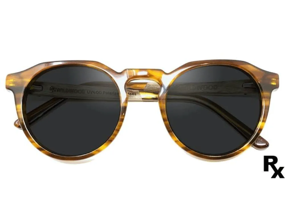 The Kitsilano Tortoise Shell