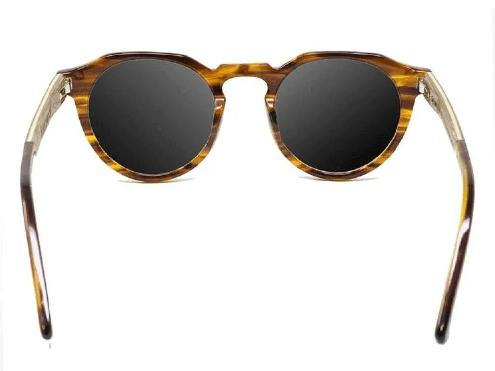 The Kitsilano Tortoise Shell